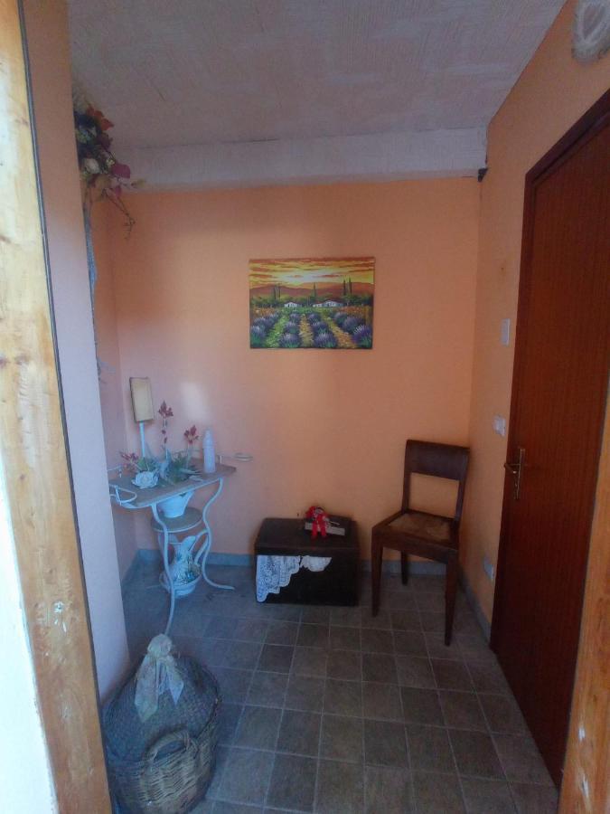 La Tana Del Ghiro Locazione Turistica Bed & Breakfast Sedico Exterior photo